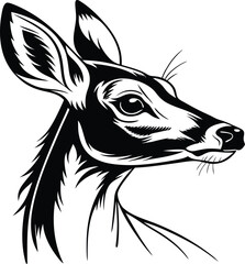 vector illustration of a deer