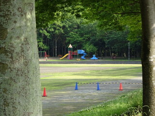 変わらない木々と遊具のある景色