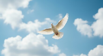 Obraz premium Dove Flying in Blue Sky with White Clouds Serene Scene