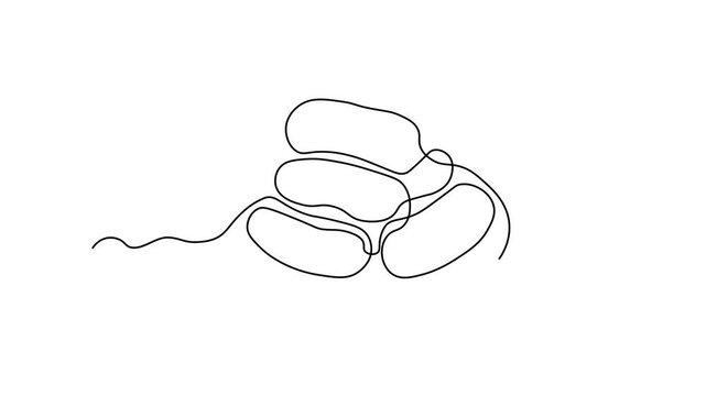 abstract sausages on a plate,wieners, sausage,small sausage,wiener,hotdog. Self drawing animation one continuous line draw, logo