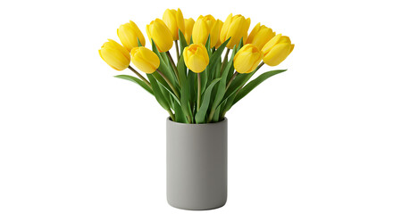 Beautiful bouquet of fresh yellow tulips in a simple grey ceramic vase arrangement Isolated on transparent background