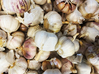bunch of garlics display in the market