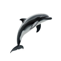 Fototapeta premium Sleek dolphin leaps dark grey body white underbelly against black on transparent background