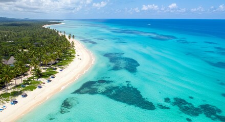 Aerial View of a Tropical Beach Paradise with Turquoise Waters a