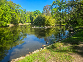 River View Flowing Through a Spring Park