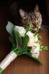 Wedding day. Beautiful tabby cat posing near the wedding bouquet