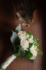 Wedding day. Beautiful tabby cat posing near the wedding bouquet