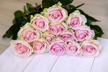 Bouquet of pale pink roses on white wood. Elegant bouquet of soft pink roses arranged on a white wooden surface, perfect for romantic, wedding, or floral-themed visuals.