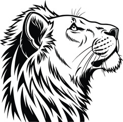 lion vector illustration