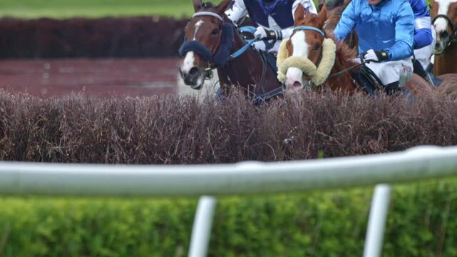 Horses running on a grass racetrack during an equestrian event, filmed in super slow motion highlighting muscle movement and flying dirt.