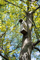 A nesting box for birds, hung on a tree.
