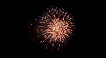 Photo Colorful Fireworks Explosion Against Dark Night Sky