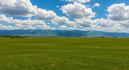 Fototapeta premium Green field landscape representing natural beauty and serenity, with mountains and cloudy sky
