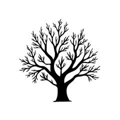 Obraz premium Stylized bare tree silhouette against stark white backdrop for minimalist designs