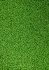 Photo Lush Green Grass Background Texture