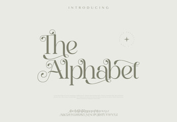 The Alphabet elegant classic classy modern serif alphabet font typeface typography. Vector Illustrator editable.