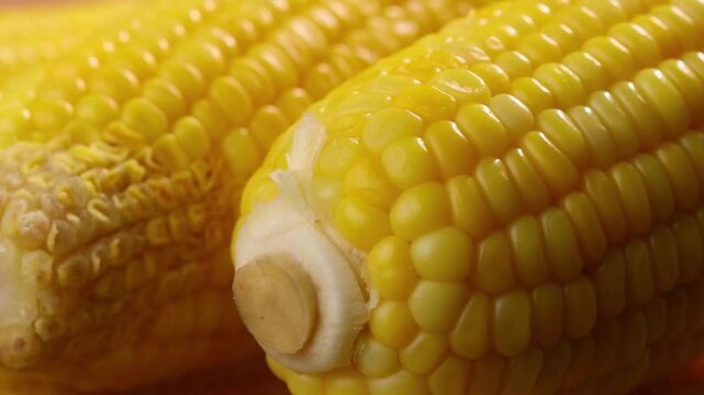 Close-up of boiled sweet corn
