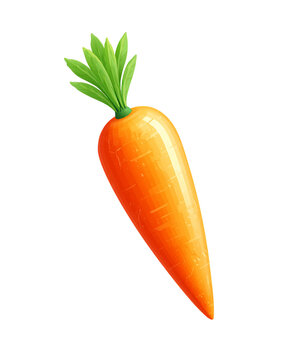 orange carrot with green leaves on white clip art preview