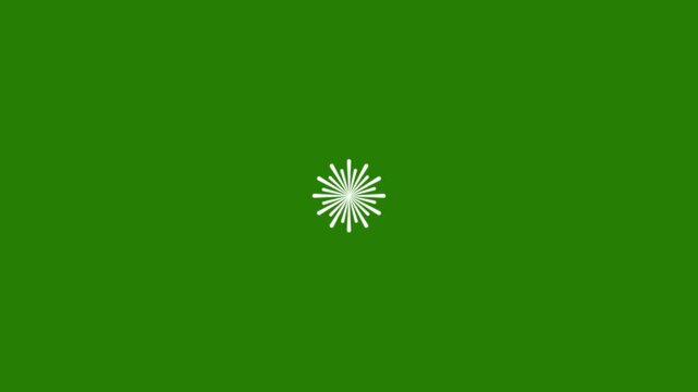 Bright fireworks animation with multi-directional line bursts and glowing circle explosions on vibrant green background. Great for VFX use, digital celebration scenes, and video intros.