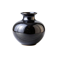 Fototapeta premium beautiful ceramic vase with glossy black finish, featuring subtle speckles that add touch of elegance. This decorative piece is perfect for enhancing any interior space