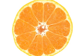 蜜柑 山北温室みかん 高知県産