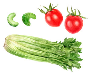 Watercolor Realistic Celery and Tomatoes Illustration, Fresh Vegetables Set