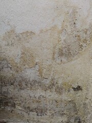 Mold spores on wall. Grunge wall texture background