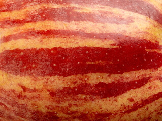 Red apple skin macro texture. Honeycrisp fruit surface close up, fresh spotted and striped apple