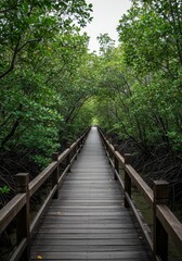 Fototapeta premium Photo of Wooden Walkway Through Lush Mangrove Forest