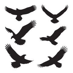 Vector silhouette set of eagle on white background 