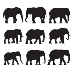 Fototapeta premium Vector silhouette set of elephant on white background 