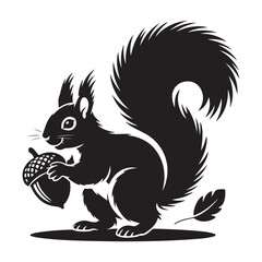 squirrel with bushy tail holding a nut Vector black silhouette. with white background