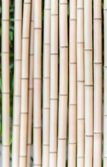 Fototapeta premium bamboo texture background