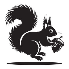 squirrel with bushy tail holding a nut Vector black silhouette. with white background