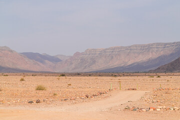 Beeindruckende Sandwüsten mit Piste hindurch in der Namib am frühen Morgen