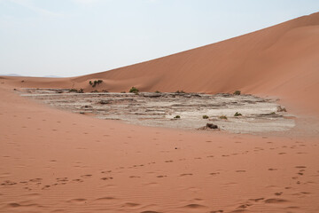 Beeindruckende Sandwüsten in der Namib am frühen Morgen