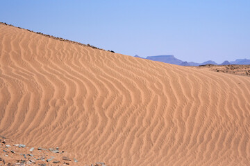 Beeindruckende Sandwüsten in der Namib am frühen Morgen