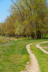 The forest and paths create a stunning natural scene, with beautiful spring landscapes featuring green grass and trees