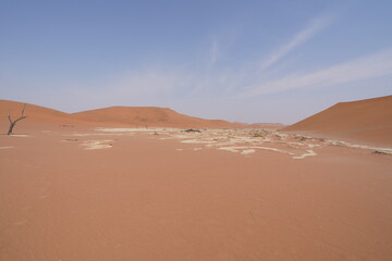 Beeindruckende Sandwüsten in der Namib am frühen Morgen mit trockenem Boden in Deadvlei