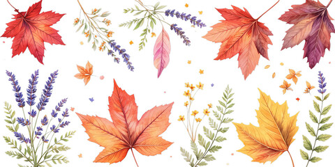 autumn leaves background on white background, set of autumn leaves