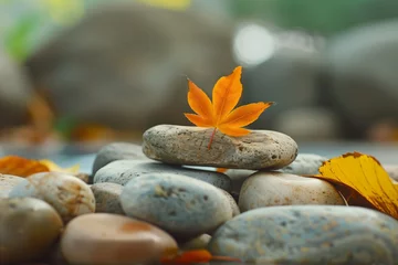a leaf is sitting on top of some rocks