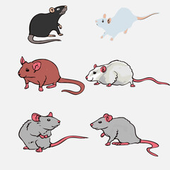 black, rad and white rat vector set
