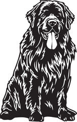 vector illustration of newfoundland dog