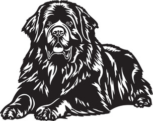 Obraz premium black and white newfoundland dog vector illustration