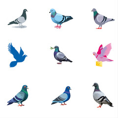  victor fill colorfull 1