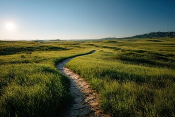 Serene landscape with a winding path under a clear blue sky.