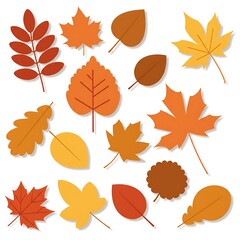 Obraz premium Colorful Autumn Leaves Collection with Different Shapes and Shades, Seasonal Theme