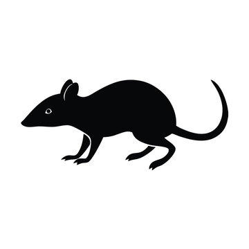 black rat silhouette on white background clip art preview