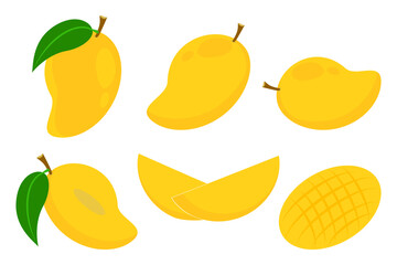 Set of Mango fruit isolated on white background. Vector illustration design.