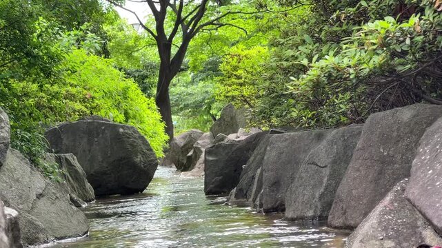 神田川5月：神田上水公園の小川 2025/5/15